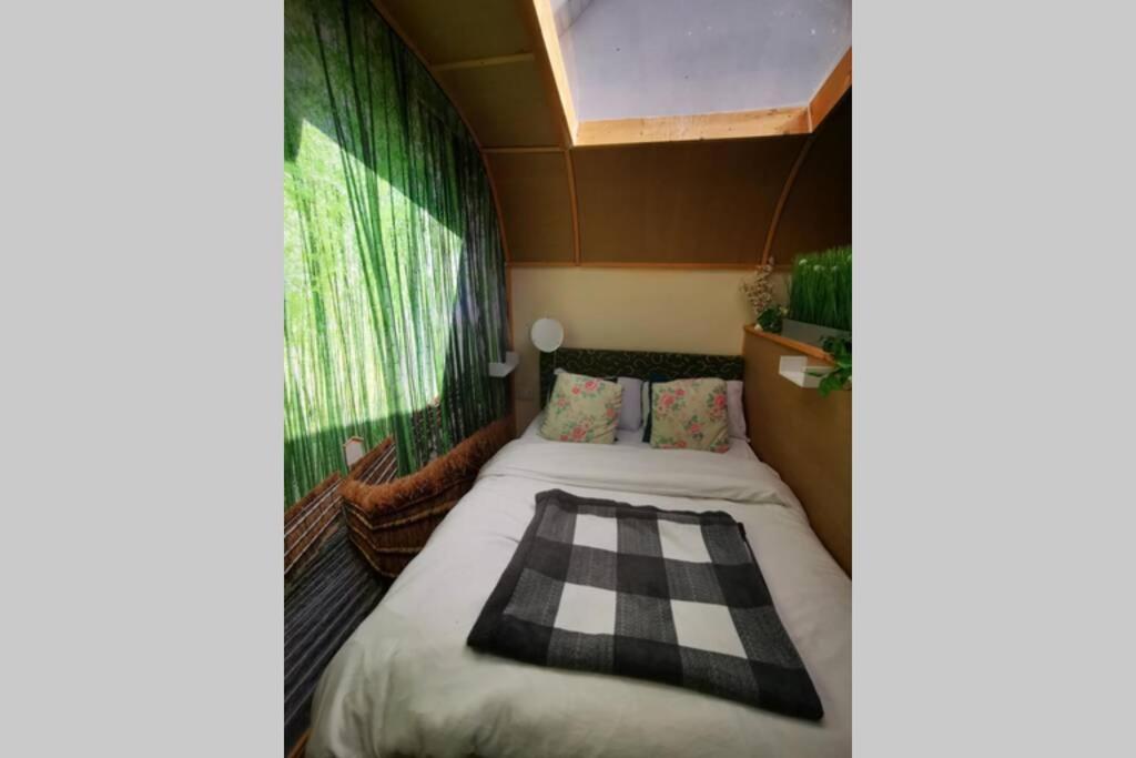 Lazy Lodge Glamping Pod With Hot Tub Port Laoise Dış mekan fotoğraf